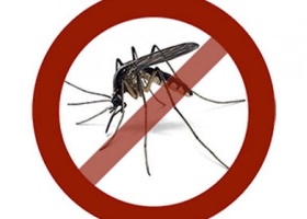 Mobilização contra Aedes aegypt movimenta ruas de Cidade Continental, em Serra, nesse sábado