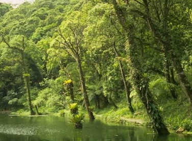 Projeto do ES é selecionado em concurso de soluções para restaurar a bacia do rio Doce