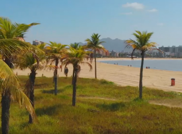 Restinga da orla de Camburi está sendo restaurada pela Vale