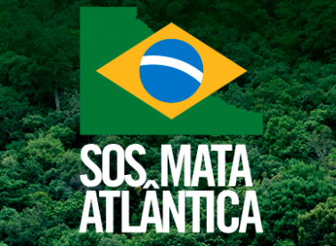 Suzano e Fundação SOS Mata Atlântica firmam parceria para fortalecer políticas públicas ambientais