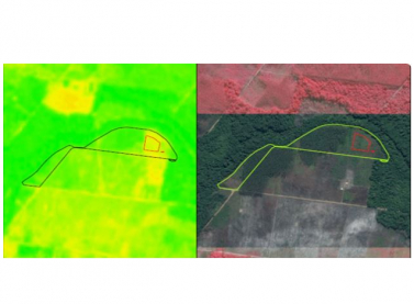 Suzano realiza monitoramento em fazendas por imagem de satélite