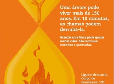 Vale promove campanha contra queimadas ao longo da ferrovia Vitória a Minas