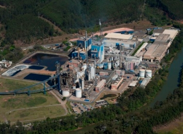 Fibria investe em tecnologia na área florestal