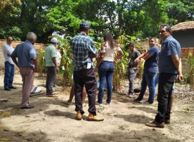 Produtores rurais de Conselheiro Pena e Galileia participam de cursos de fruticultura