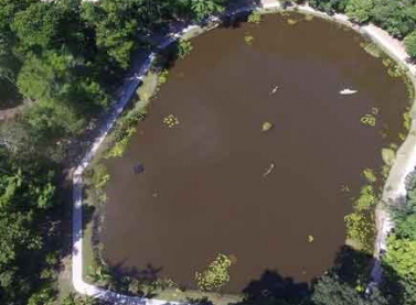 Estão abertas as inscrições para a IV Meia Maratona do Verde e das Águas, em Linhares