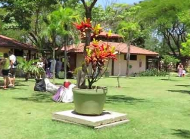 Final de semana no Parque Botânico terá foco nos cuidados com a saúde