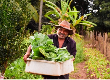 WWF-Brasil e Fundação Renova lançam concurso para selecionar projetos inovadores para a restauração da bacia do rio Doce