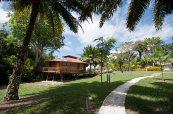 Reserva Natural Vale entra no circuito capixaba de corridas