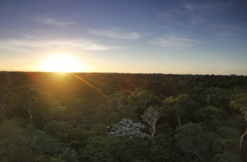 Reserva Natural Vale promove Colônia de Férias durante o recesso escolar