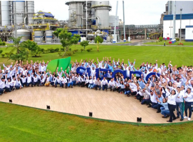 Suzano registra recorde de venda de celulose no quarto trimestre