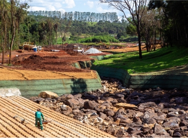 Vale lança projeto piloto de recuperação ambiental de área impactada