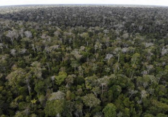 Suzano identifica novas Áreas de Alto Valor de Conservação (AAVCs) no Espírito Santo e amplia outras na Bahia