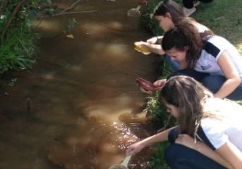 7º Prêmio Gerdau Germinar abre inscrições para projetos de educação ambiental inovadores