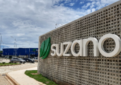 Suzano abre inscrições para o Programa de Trainee 2025