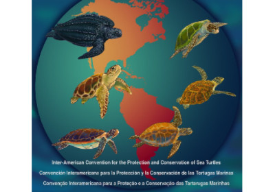 América unida pelas Tartarugas Marinhas