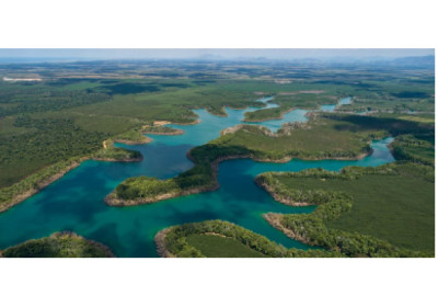 Suzano publica primeiro relatório alinhado às recomendações da TNFD