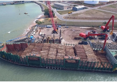 Fibria inicia movimentação de madeira com guindastes em terminais marítimos