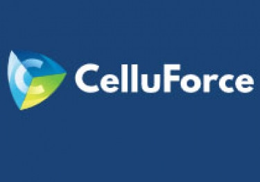 Fibria adquire participação na canadense CelluForce