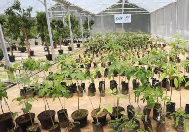 Com avanço da pandemia, Vale reforça medidas de proteção e mantém cronograma para reparação integral em Brumadinho