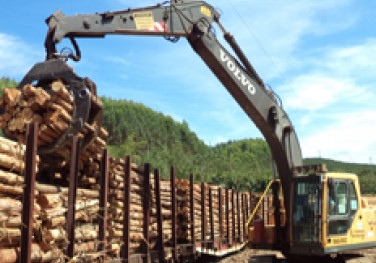 Fibria firma parceria para ampliar transporte ferroviário de madeira