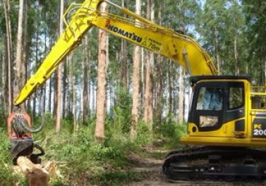 Excelência operacional e mais conforto para os operadores com novas máquinas para a colheita do eucalipto na Fibria