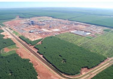 Fibria confirma estudo para instalar terceira fábrica de celulose em MS