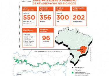 Fundação Renova conclui revegetação de áreas de preservação afetadas por rejeitos