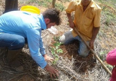 Mais de 30 mil mudas começam a ser plantadas nas nascentes do Rio Doce