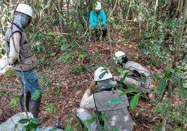 Conheça o Inventário Florestal da bacia do rio Doce