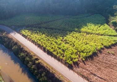 Programa de recuperação da bacia do Rio Doce são apresentados em conferência na África