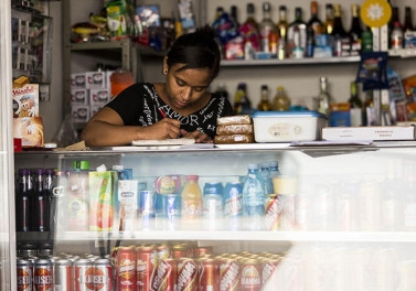 Fundação Renova e Sebrae oferecem consultoria gratuita para empreendedores