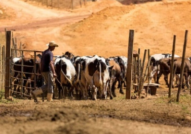 Produtor Rural como protagonista da recuperação ambiental é tema de palestra