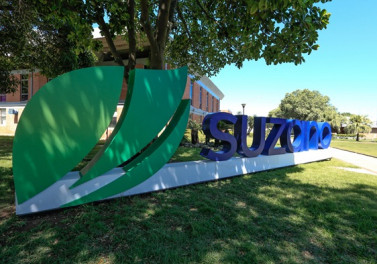 Suzano abre inscrições para o Programa de Estágio 2022