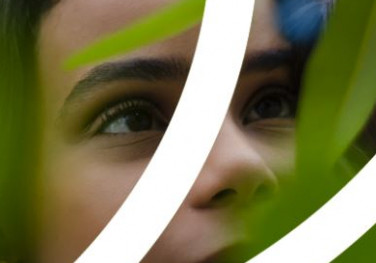 Suzano adere a iniciativa global que propõe a descarbonização da economia mundial