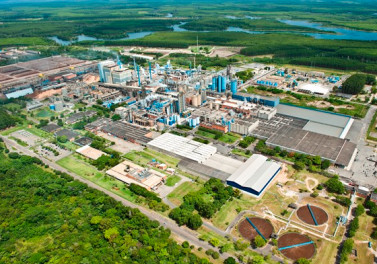 Suzano atinge marca de 12 milhões de toneladas de celulose e papéis vendidos em 2020