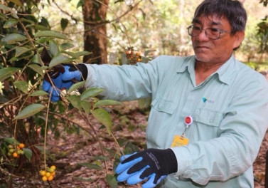 Herbário de Carajás integra rede internacional