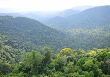 Vale adere à campanha da ONU para o dia Mundial do Meio Ambiente