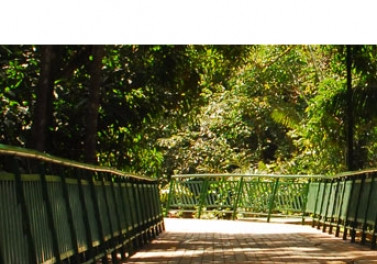 Parque Botânico Vale celebra Dia Mundial da Dança neste sábado