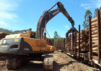 Fibria registra recorde no transporte de madeira por ferrovia