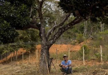 Pagamento por serviços ambientais (PSA) vai remunerar proprietários rurais que promoverem ações de recuperação ambiental