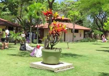 Final de semana no Parque Botânico terá foco nos cuidados com a saúde