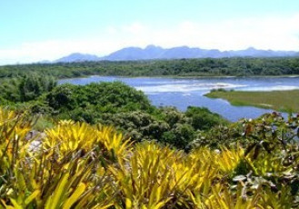 Parques estaduais comemoram a Semana do Meio Ambiente