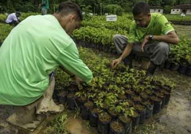 Petrobras e UNESCO no Brasil assinam acordo para projeto social