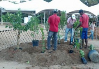 Preparativos para Semana da Agricultura estão a todo vapor