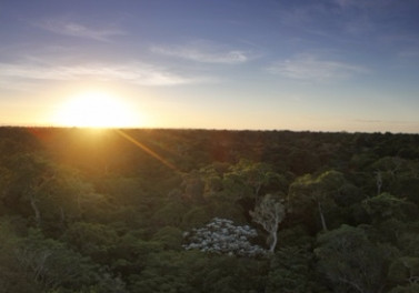 Reserva Natural Vale mantém título de Posto Avançado de Reserva da Biosfera