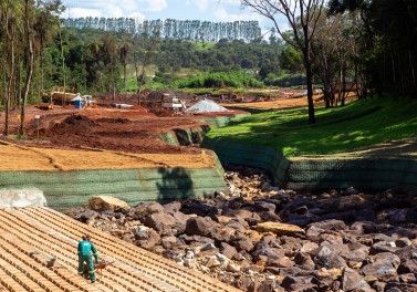 Vale lança projeto piloto de recuperação ambiental de área impactada